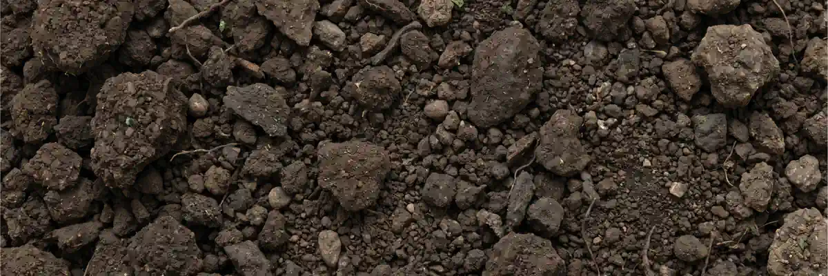 An illustration of freshly turned earth filling the frame: broken clods and a tilled surface, with no horizon and nothing to give it a scale.